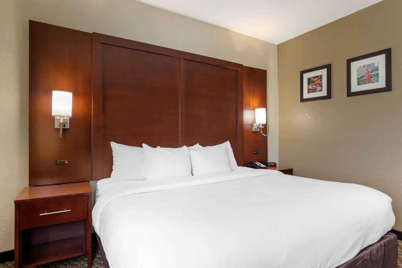 Comfort Inn & Suites Near Six Flags & Medical Center San Antonio Extérieur photo