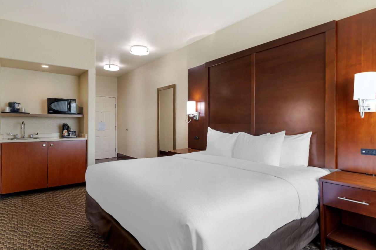 Comfort Inn & Suites Near Six Flags & Medical Center San Antonio Extérieur photo