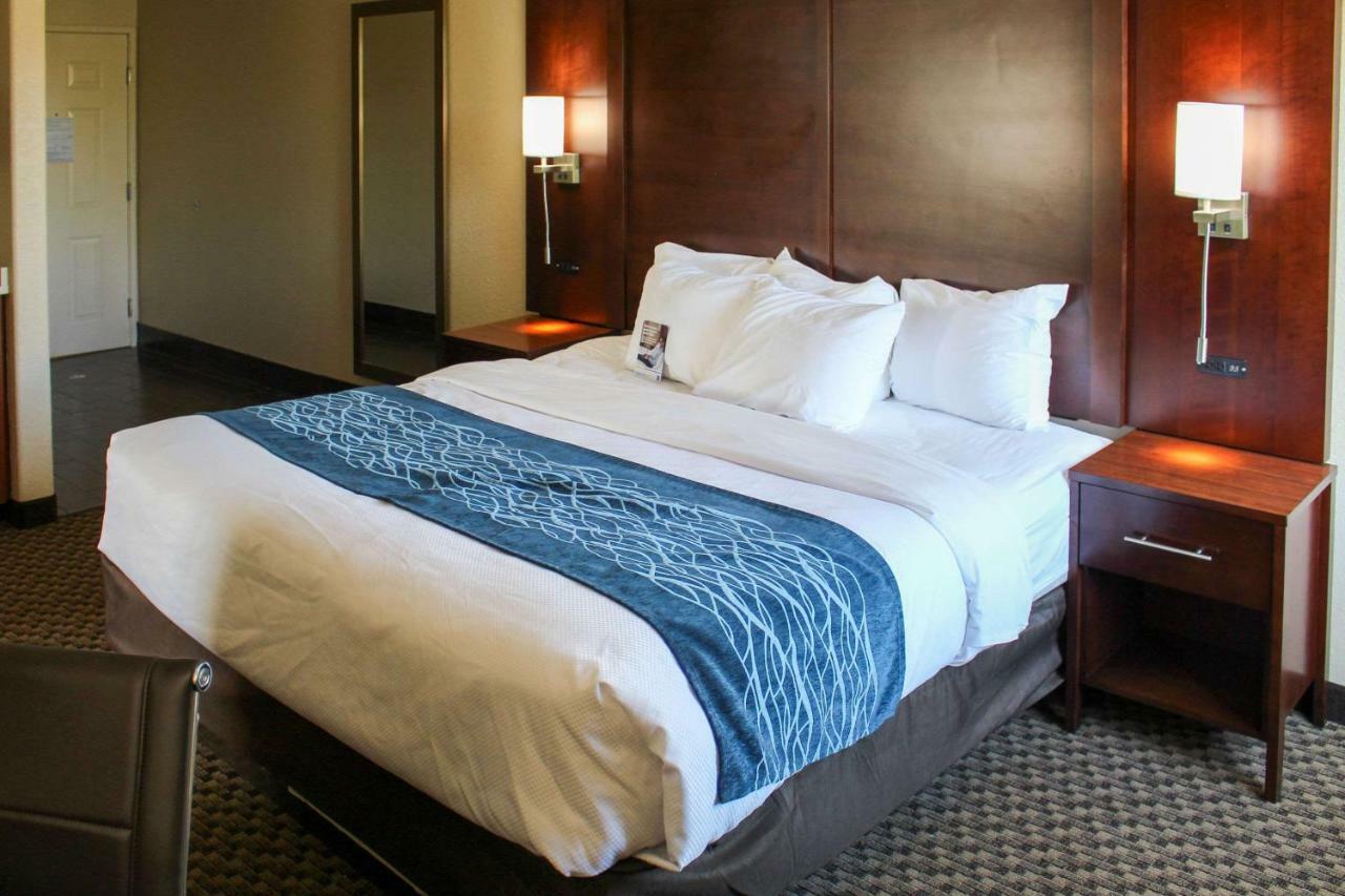 Comfort Inn & Suites Near Six Flags & Medical Center San Antonio Extérieur photo