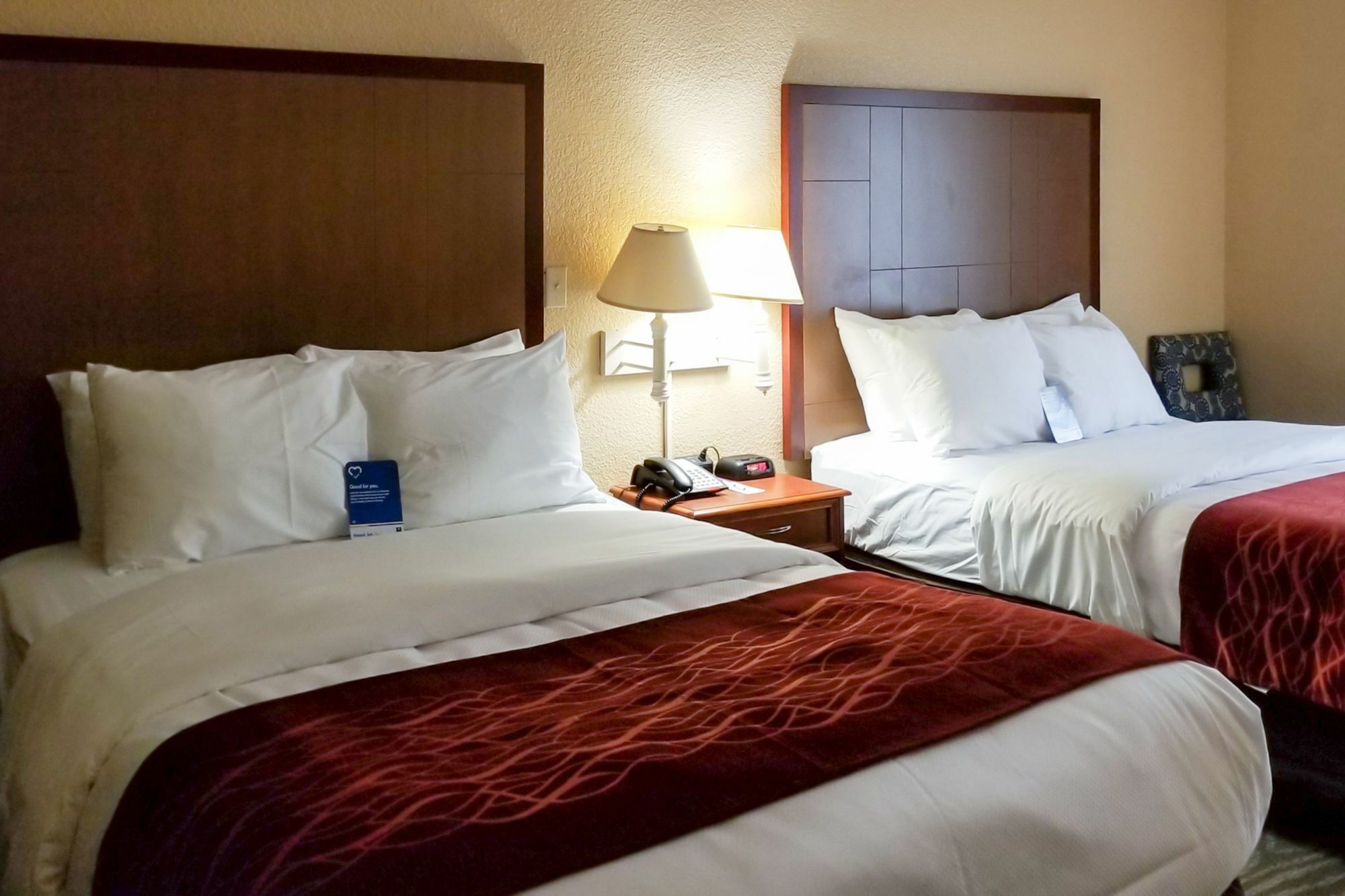Comfort Inn & Suites Near Six Flags & Medical Center San Antonio Extérieur photo